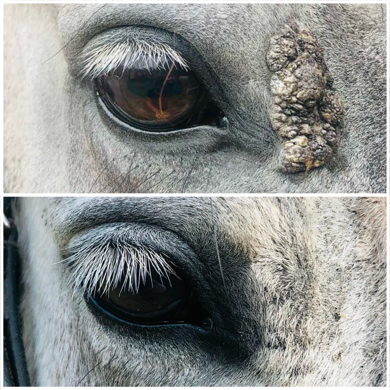 Cura Naturale - Huile excroissance cutanée