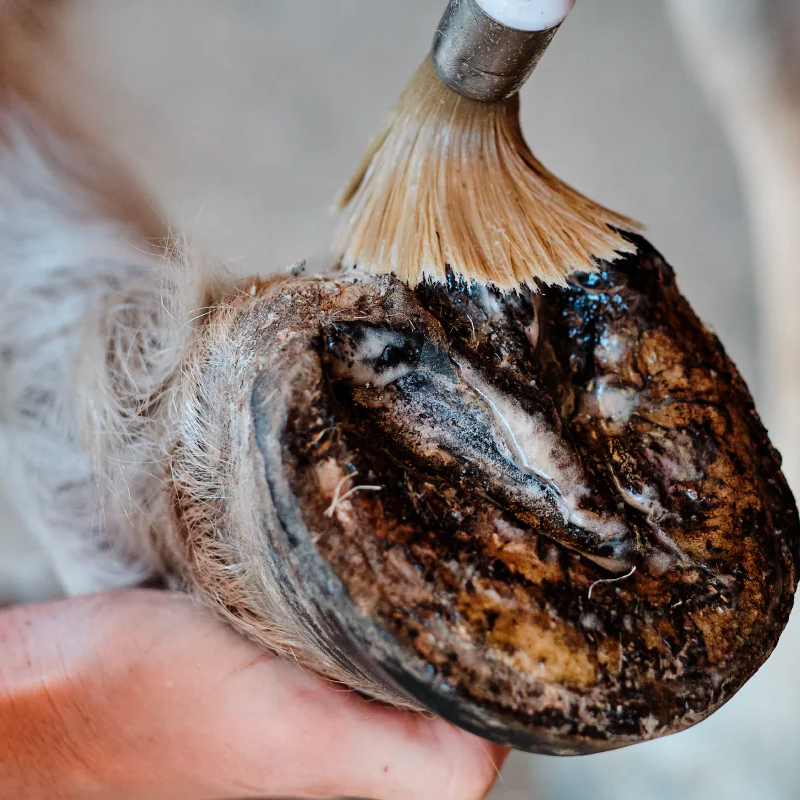 Cura Naturale - Huile sabots secs