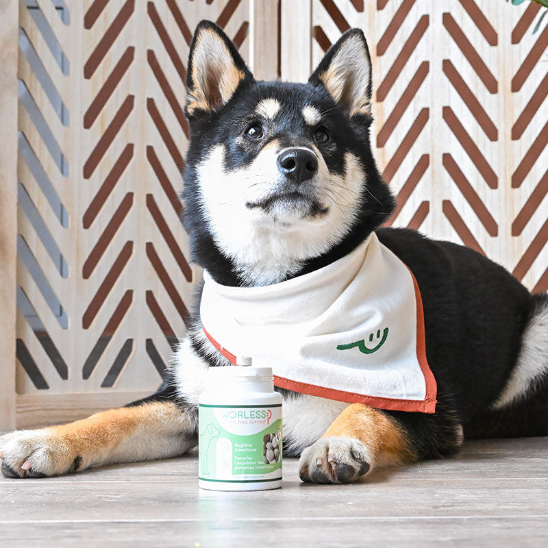 Happy Scoop - Complément alimentaire comprimés parasites intestinaux Worless pour chiens
