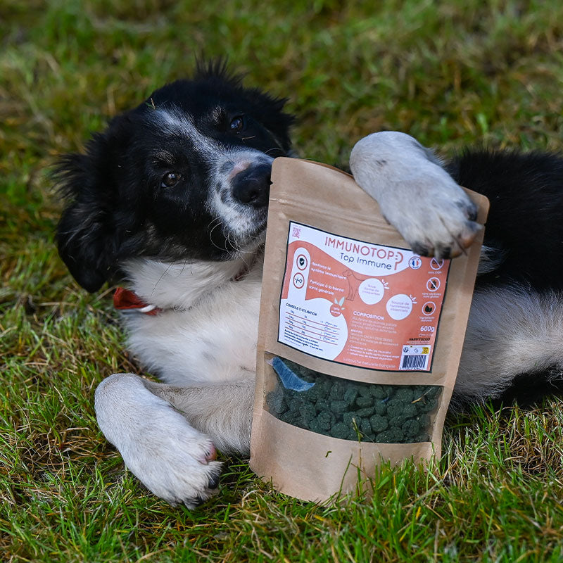Happy Scoop - Complément alimentaire croquettes bonne santé Immunotop pour chiens