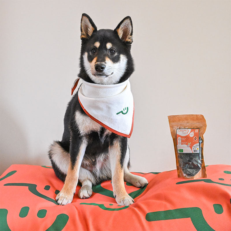 Happy Scoop - Friandises forme et vitalité crispy Top pour chiens