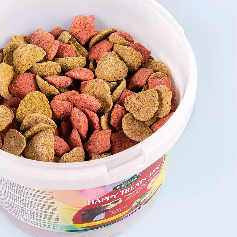 Ravene - Friandises pour chevaux Happy Treats Duo Pomme/ Fruits Sauvages