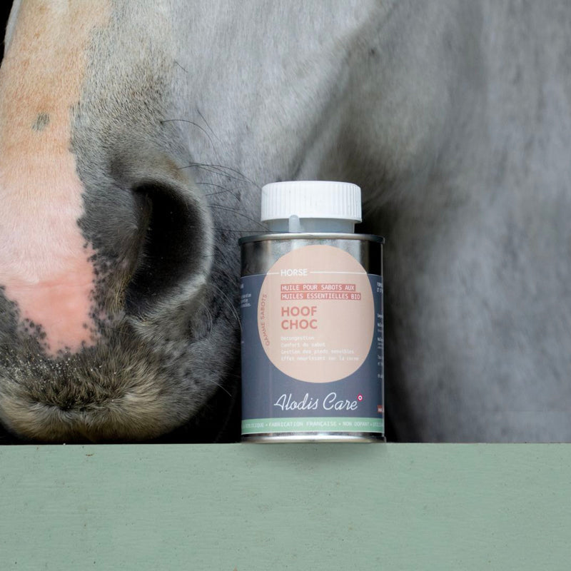 Alodis Care - Huile pour sabots Hoof Choc