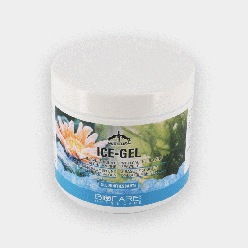 Veredus - Gel refroidissant Ice Gel 500 ml | - Ohlala
