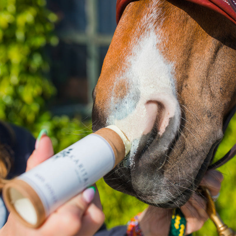 Karitale - Baume de soin anti-UV