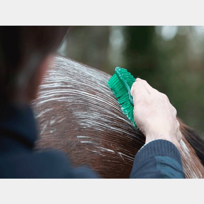 LeMieux - Brosse Hippo Brush vert | - Ohlala