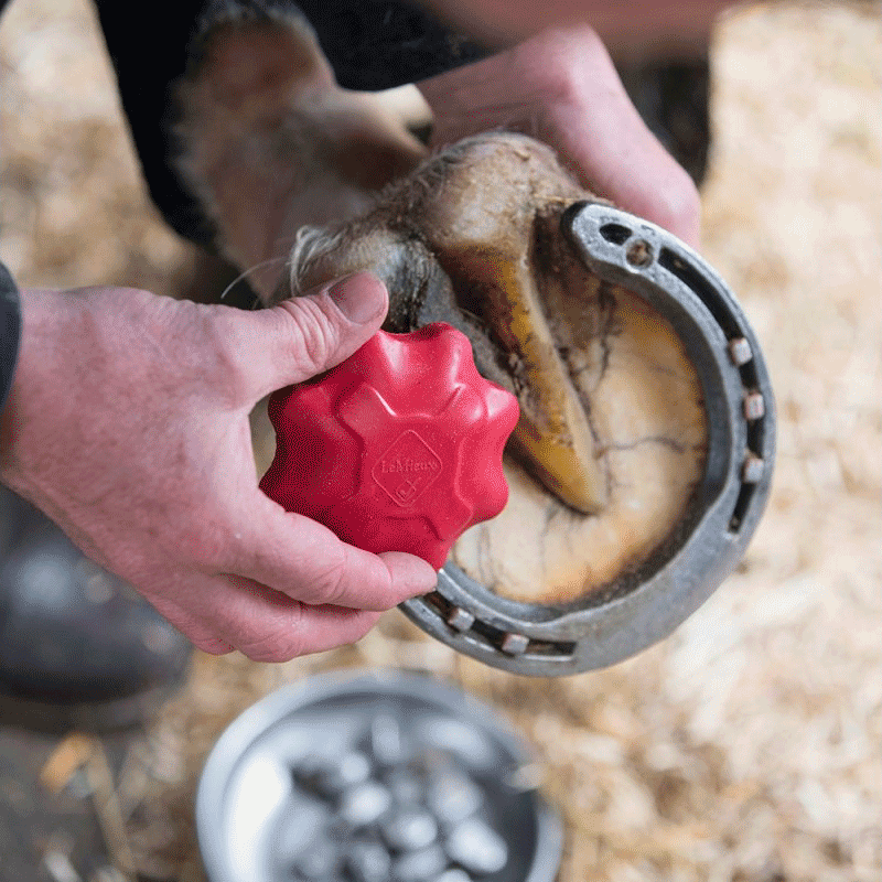 LeMieux - Taraud de sécurité pour crampons rouge