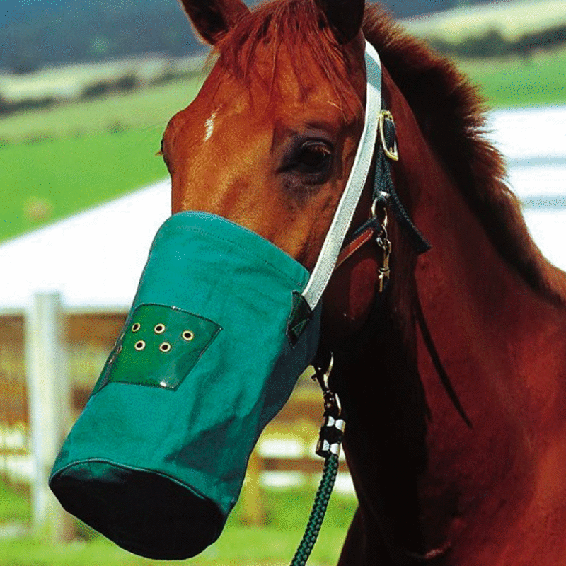 Hippotonic - Musette canvas vert