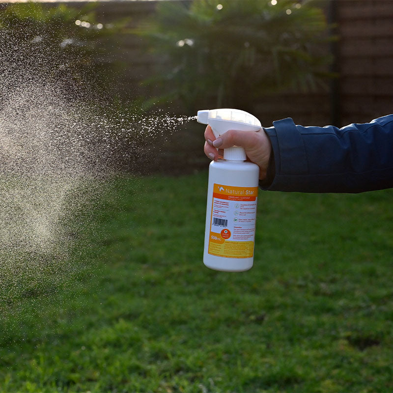 Natural' Innov - Démêlant Natural'Star