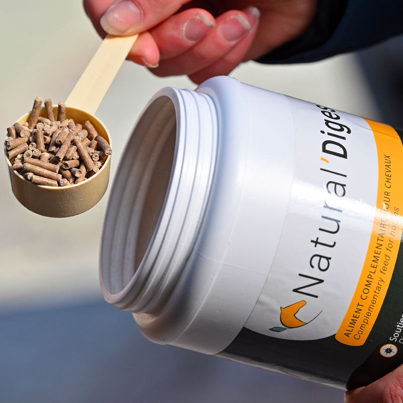 Natural' Innov - Complément digestif Natural'Digest