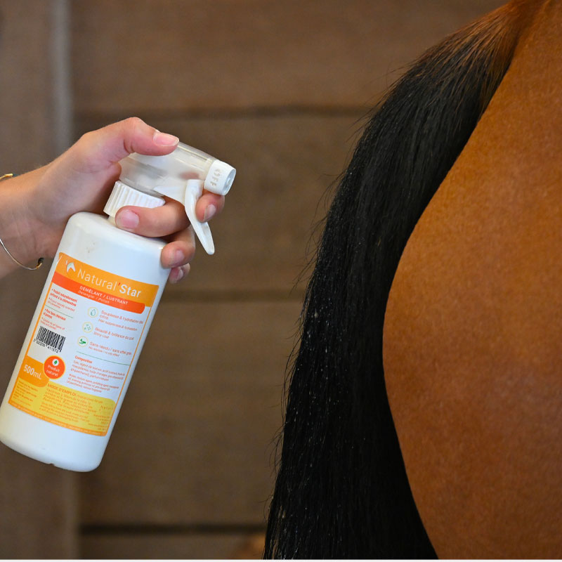 Natural' Innov - Démêlant Natural'Star