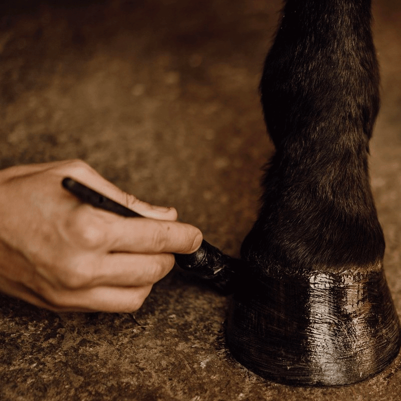 Nellumbo - Baume naturel pour sabots 500 ml | - Ohlala