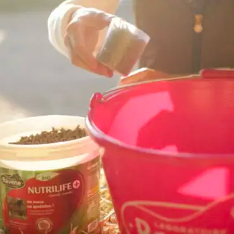 Ravene - Complément alimentaire métabolisme Nutrilife +