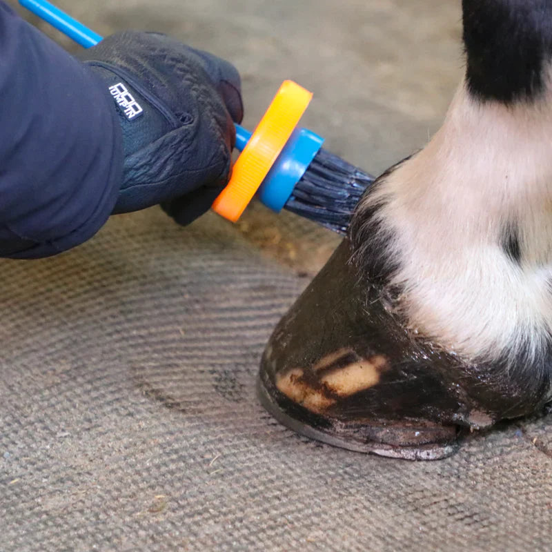 Imperial Riding - Pinceau avec pot orange/ bleu