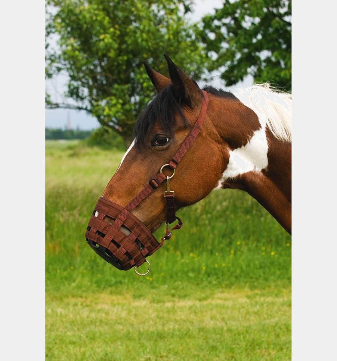 Hippotonic - Panier muselière nylon