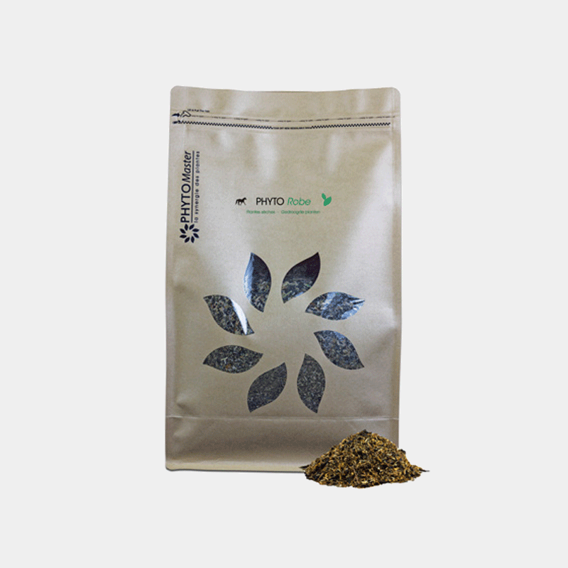 PhytoMaster - Complément alimentaire santé peau et robe Phyto Robe 1 kg | - Ohlala