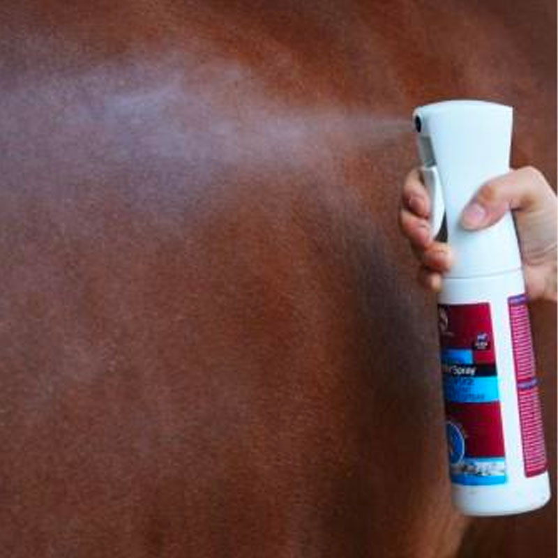Paskacheval - Spray anti-insectes Paska'Fly