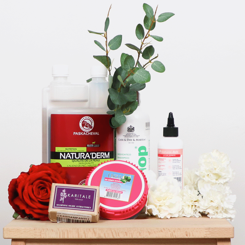 Karitale - Shampoing solide antibactérien pour chevaux 100g | - Ohlala