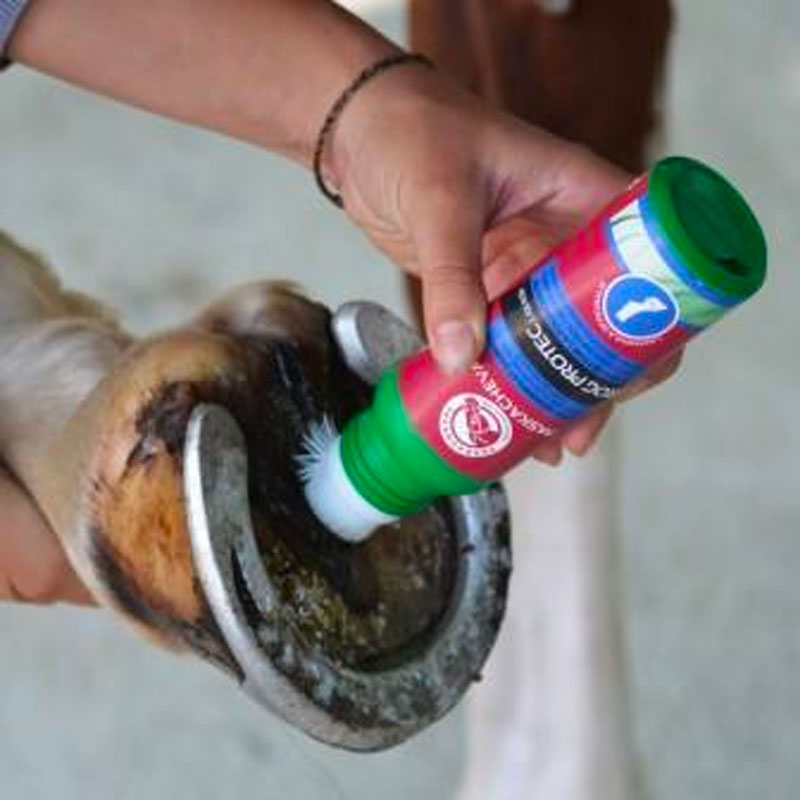 Paskacheval - Protection de la fourchette Frog protec liquide