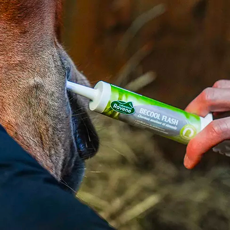 Ravene - Complément alimentaire seringue calmant Becool Flash