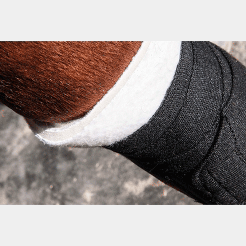 TdeT - Sous bandage mousse et tissu blanc postétieur | - Ohlala