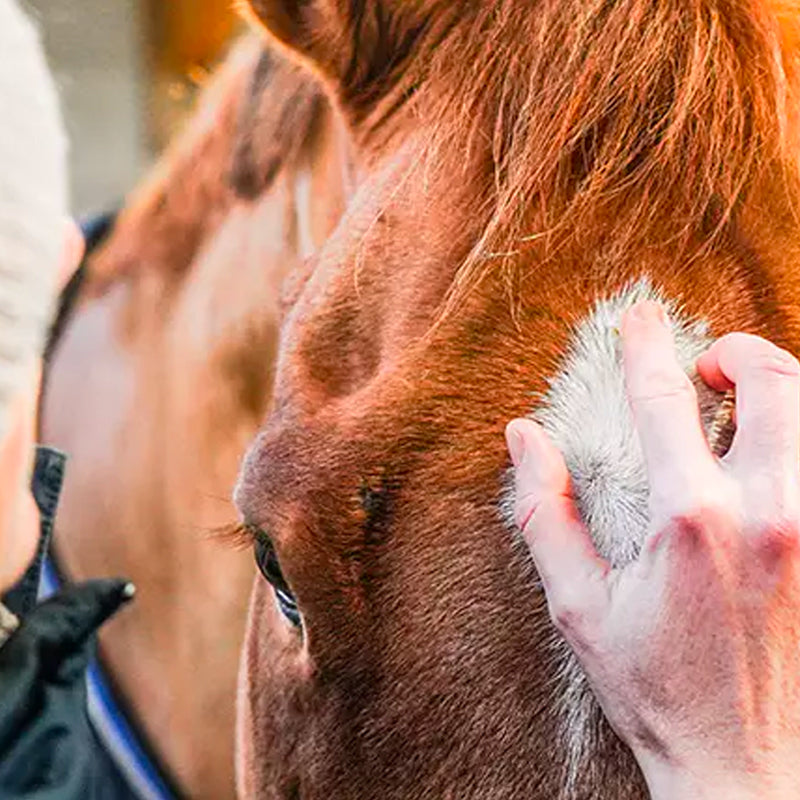 Ravene - Crème soin cutané Derma Protec