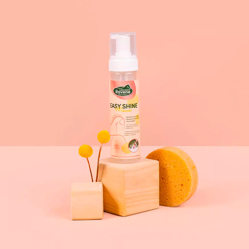 Ravene - Shampoing sec détachant mousse Easy Shine