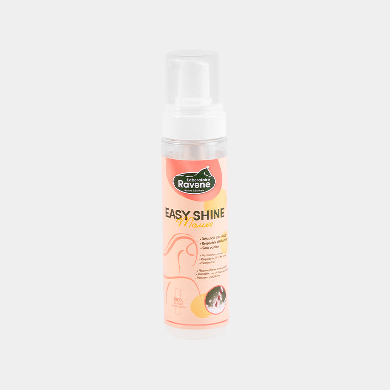 Ravene - Shampoing sec détachant mousse Easy Shine