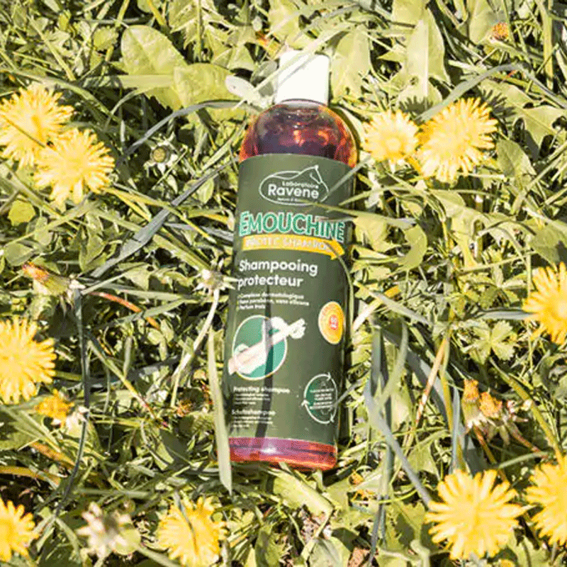 Ravene - Shampoing protecteur Emouchine