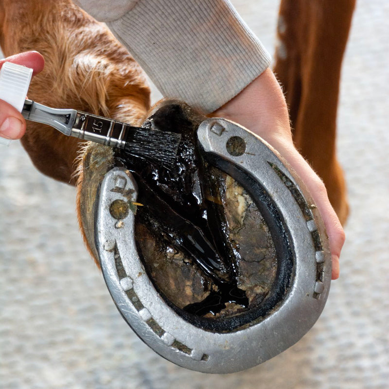 Alodis Care - Fourchette Clean