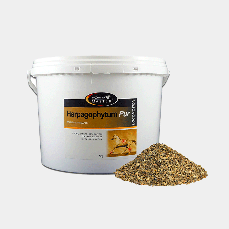 Horse Master - Complément alimentaire souplesse articulaire Harpagophytum Pur | - Ohlala