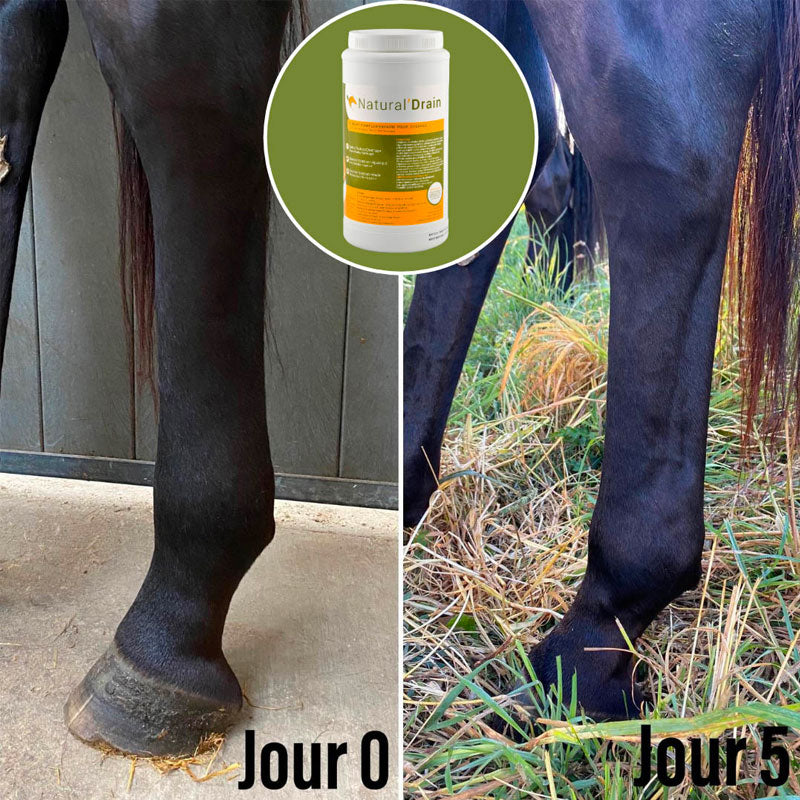 Natural' Innov - Complément alimentaire Natural' Drain 4.8 kg