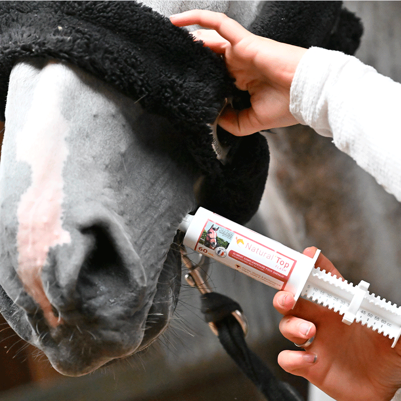 Natural' Innov - Complément alimentaire seringue Natural'Top Flash 60ml