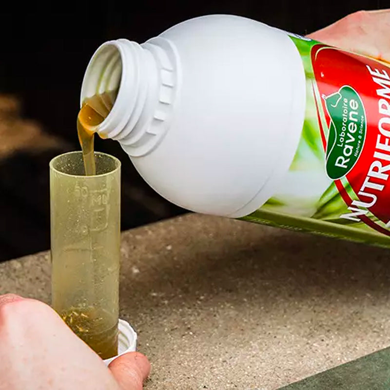 Ravene - Complément alimentaire musculaire Nutriforme