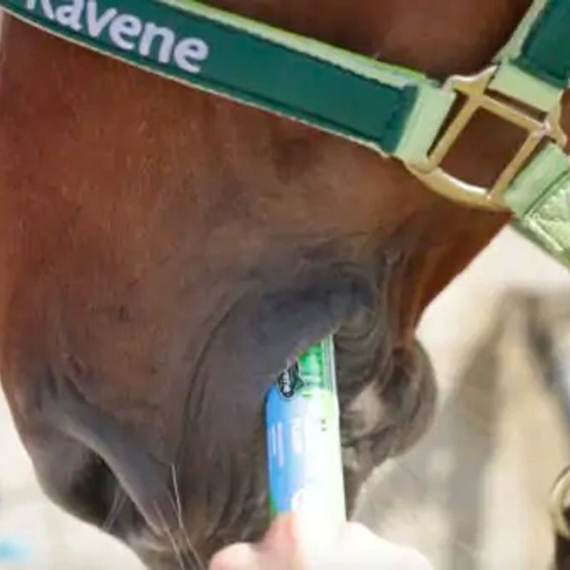 Ravene - Complément alimentaire en seringue récupération et hydratation Nutrilyte Flash