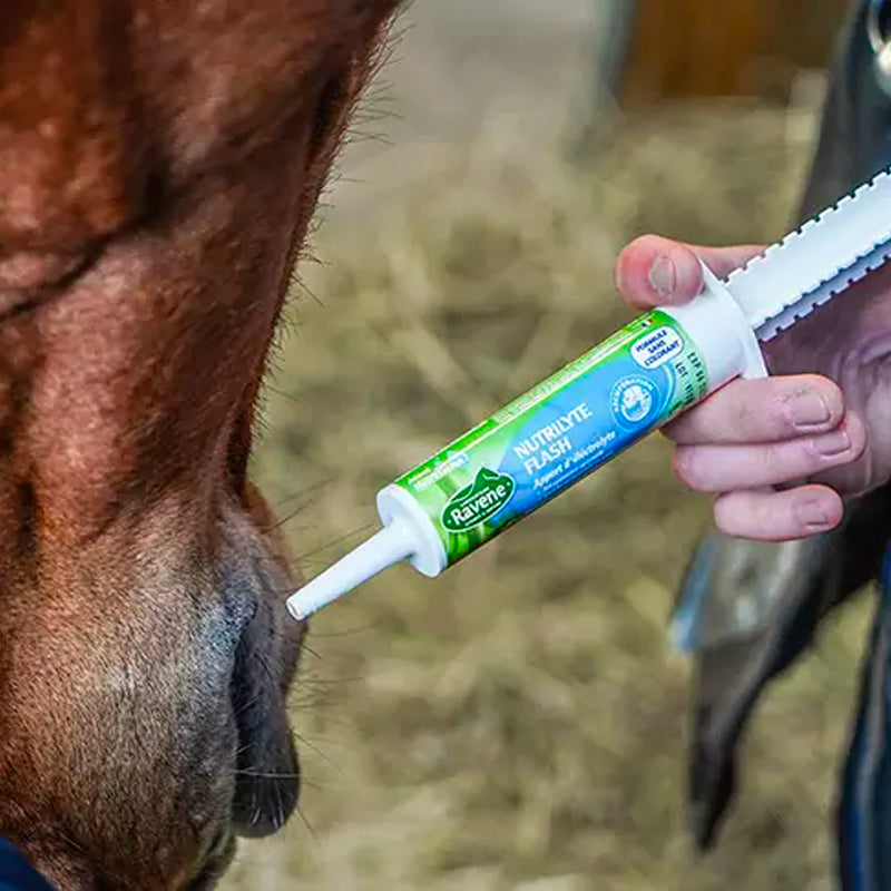 Ravene - Complément alimentaire en seringue récupération et hydratation Nutrilyte Flash