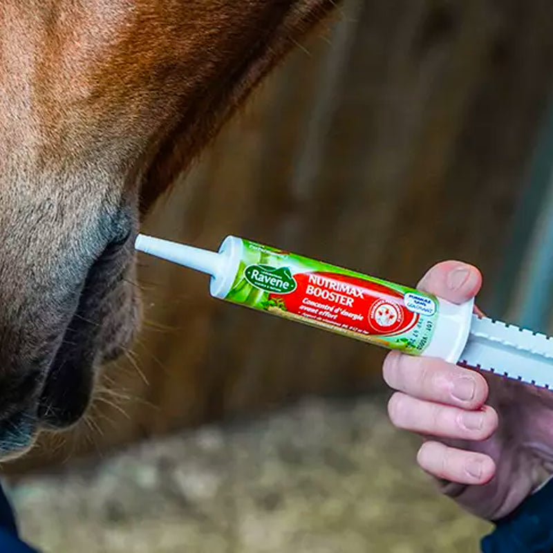 Ravene - Complément alimentaire seringue préparation à l'effort Nutrimax Booster