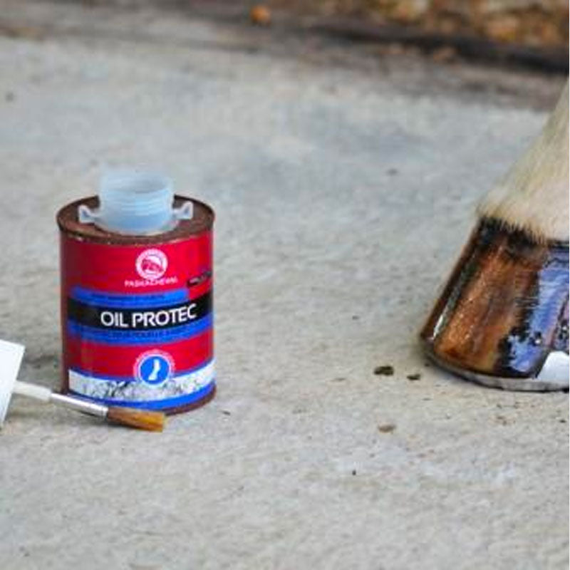 Paskacheval - Huile pour sabots Oil protec