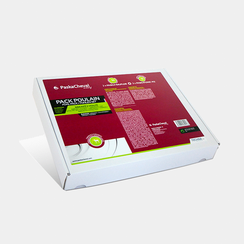 Paskacheval - pack poulain | - Ohlala