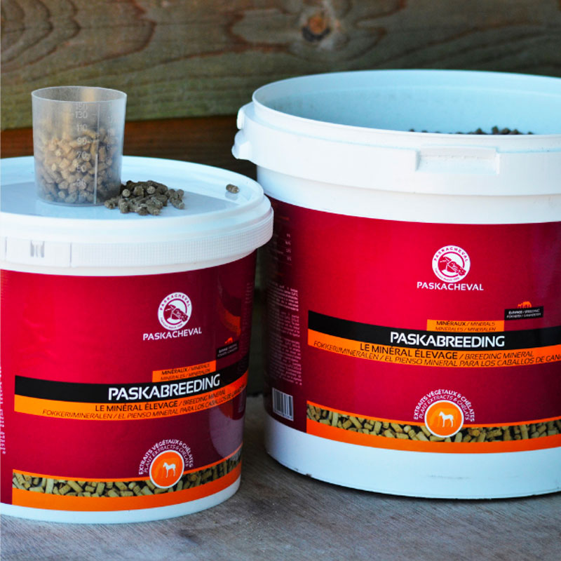 Paskacheval - Complément alimentaire Paskabreeding granulés