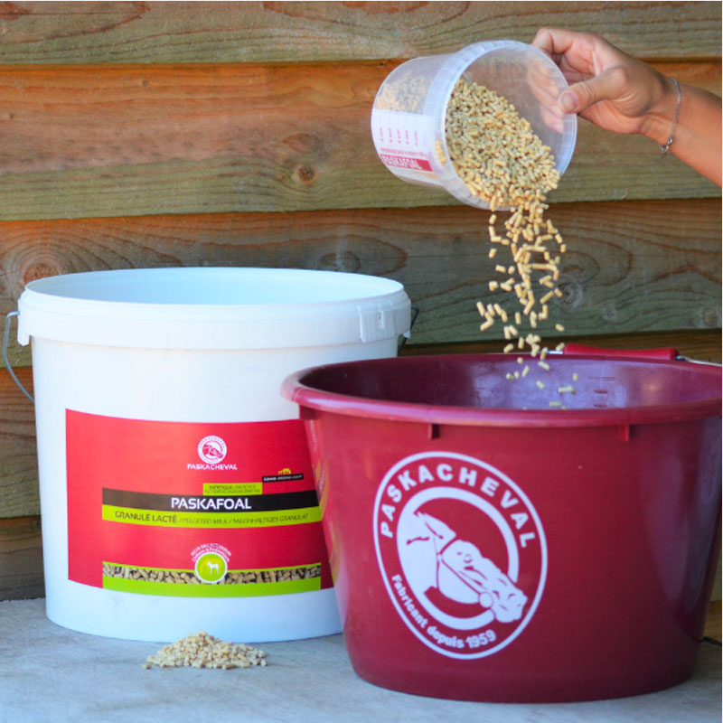 Paskacheval - Complément alimentaire flore intestinale poulain Paskafoal