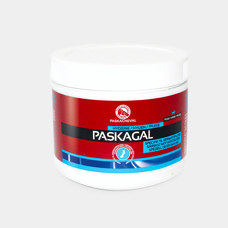 Paskacheval - paskagal | - Ohlala