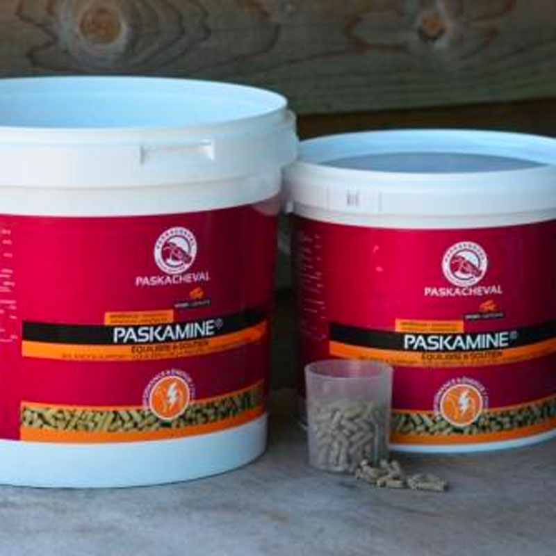 Paskacheval - Complément alimentaire performance Paskamine