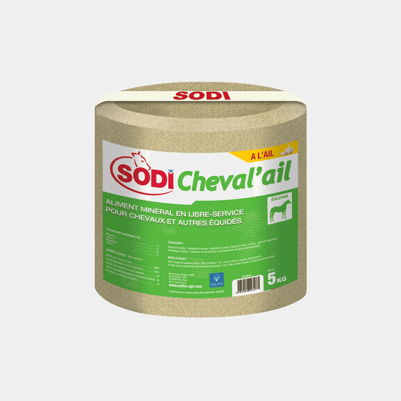 Sodi - Pierre à sel ail 5kg | - Ohlala