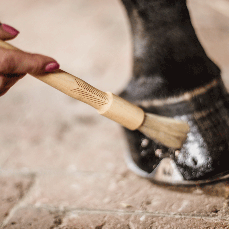 Grooming Deluxe - Pinceau à onguent