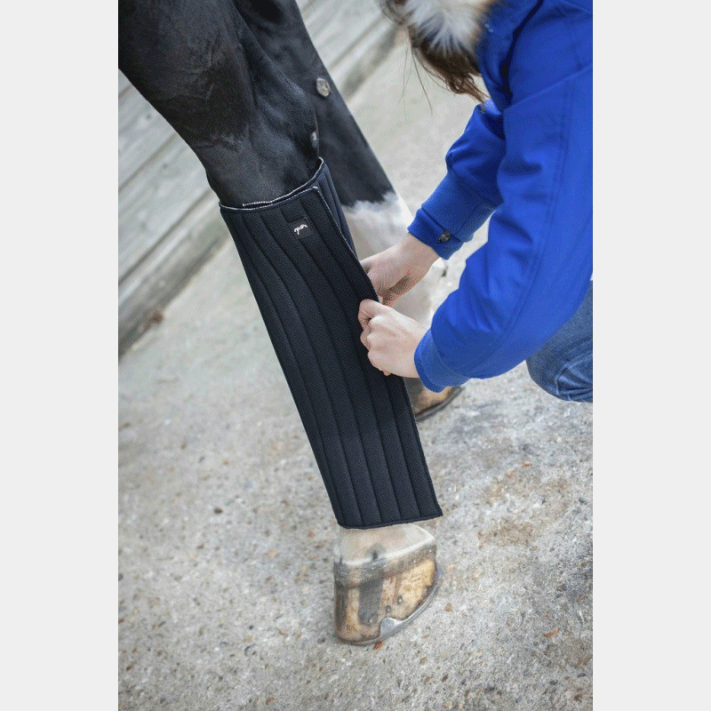 Pénélope Store - Sous-bandage Soft postérieur noir | - Ohlala