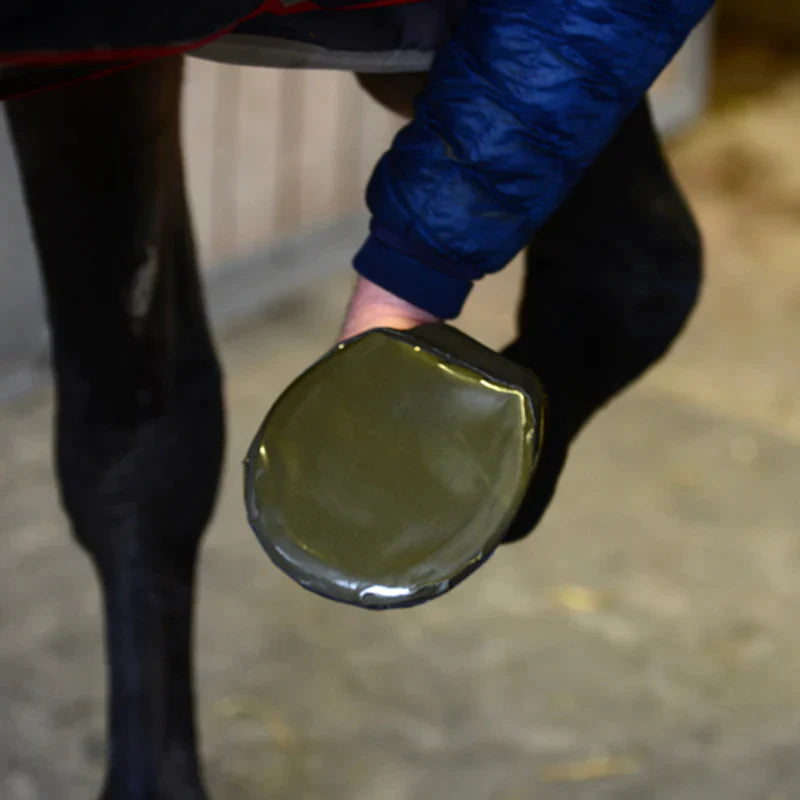 Kentucky Horsewear - Protection sabot (x5)