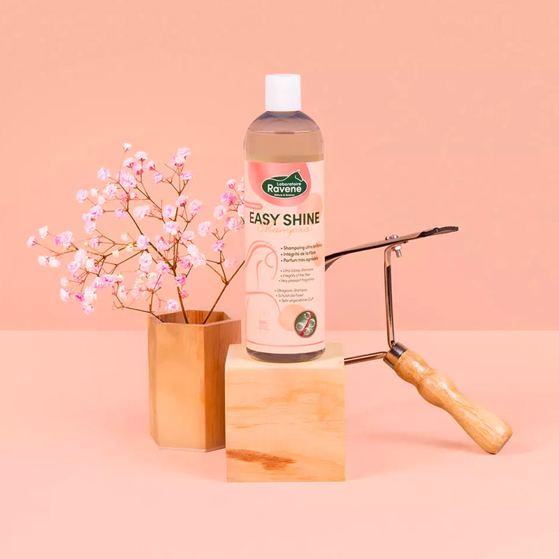 Ravene - Shampooing raviveur de teinte Easy Shine