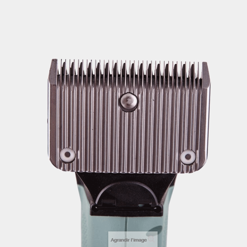 Lister - Tondeuse Star | - Ohlala