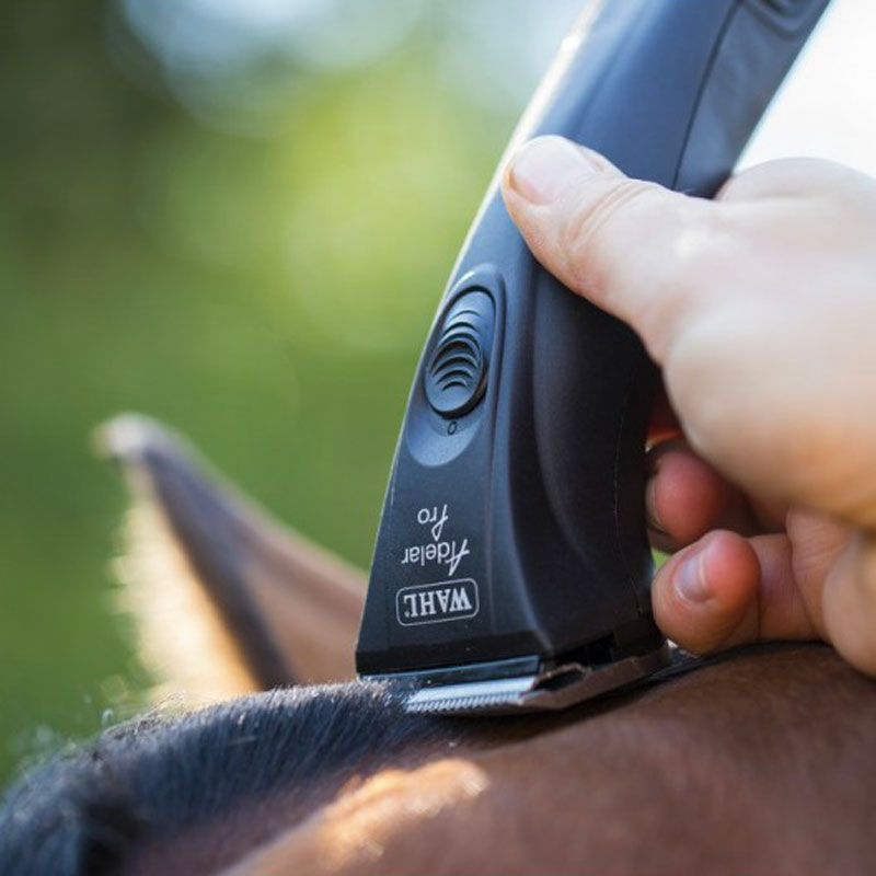 Wahl - Tondeuse de finition Adelar Pro